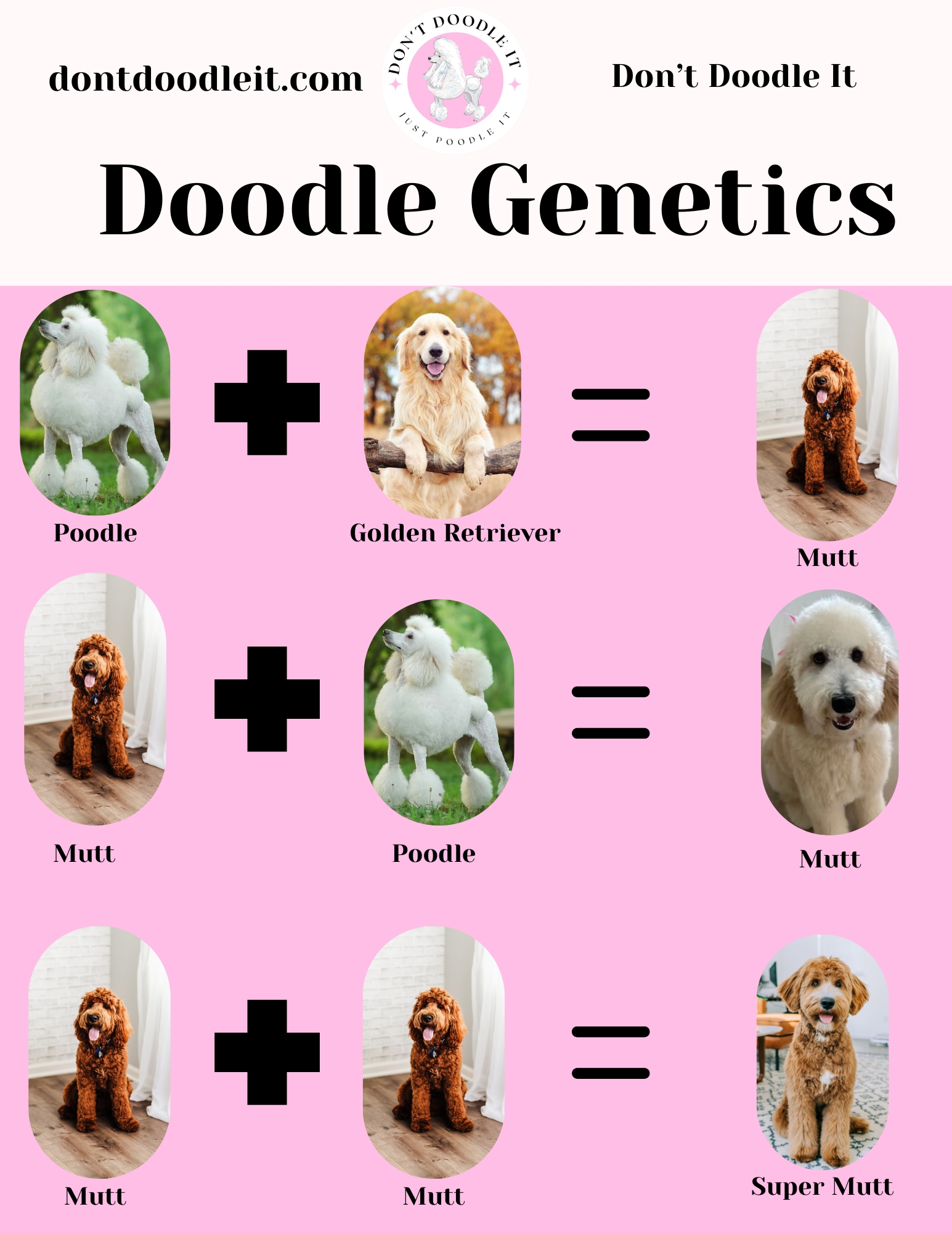 International Doodle Dog Day